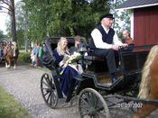 Brudparet från Årsunda!