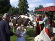 Oxen Sixten på 1750 kg var också ute och strosade