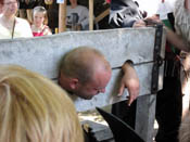 GreatBoar  Micke in "stupstocken"