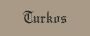 Turkos Runhalsband